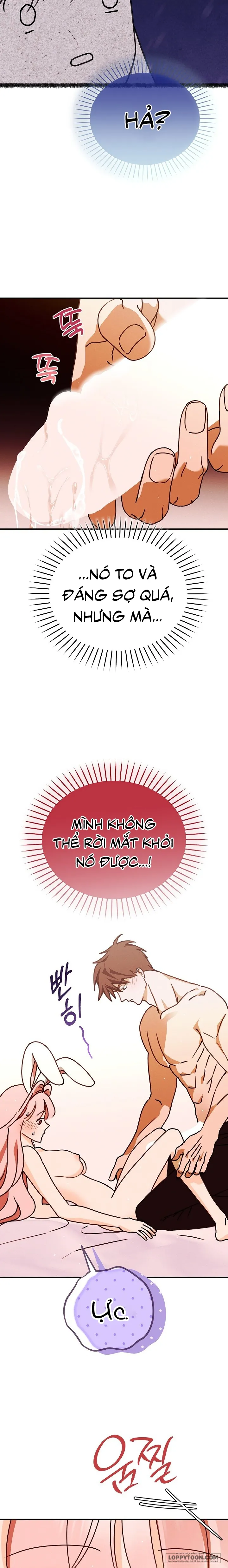 Bunny On! Chap 3 - H++ - trang 24