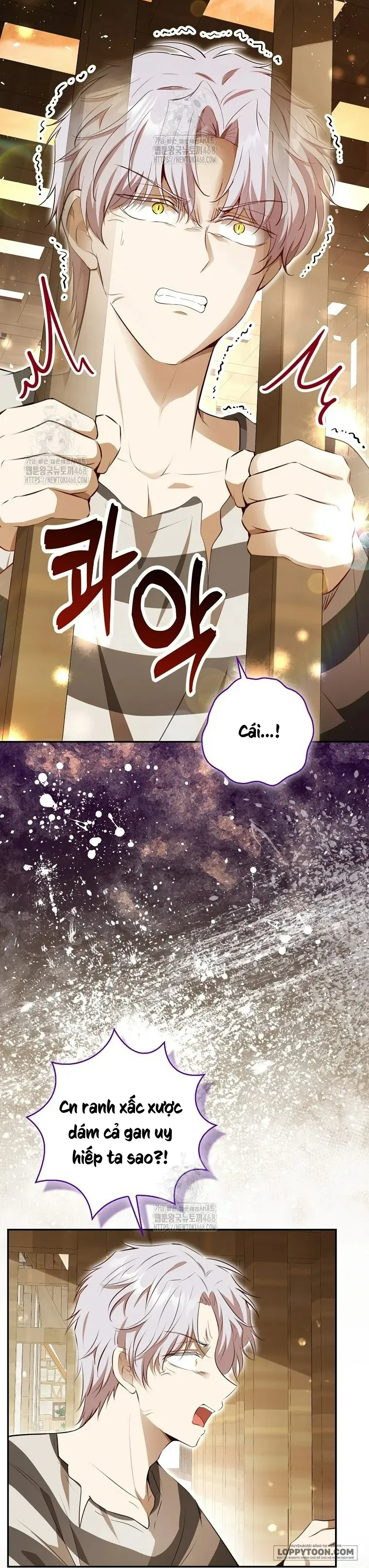 Sóc Con Tài Năng Chap 118 - trang 27