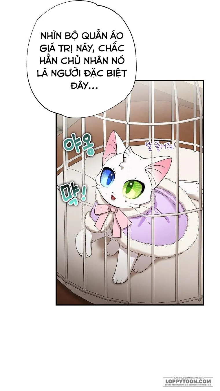 Trở Thành Miêu Nữ Của Hoàng Đế Chap 15 - trang 13