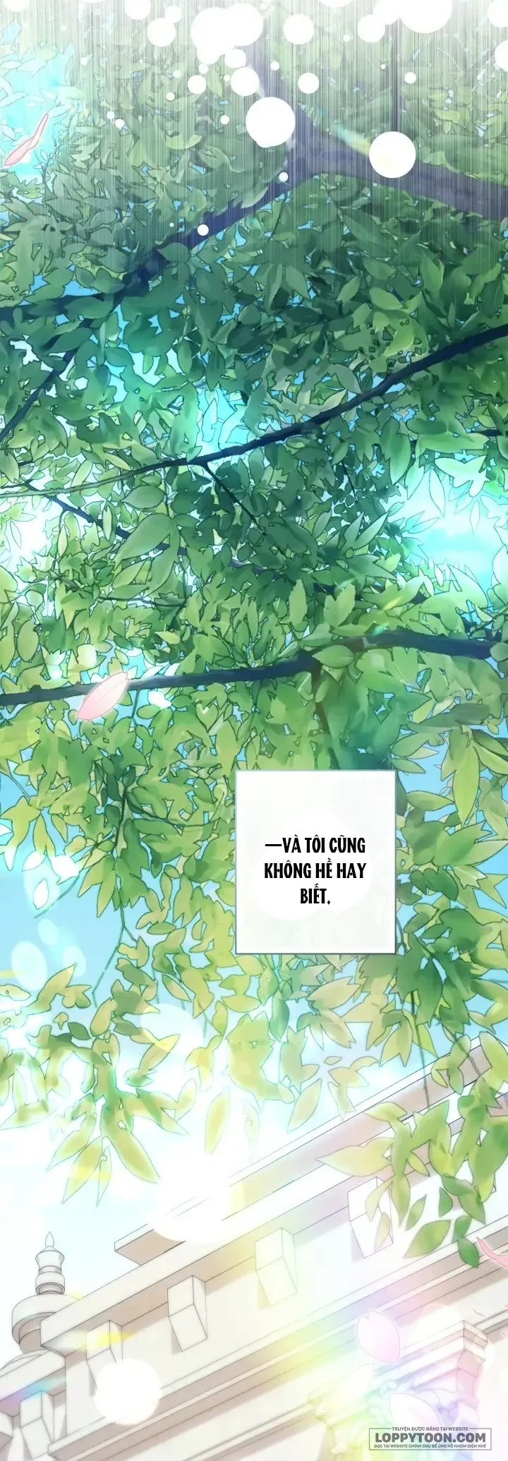 Tiểu Thư Tích Tiền Đi Bụi Chap 120 - trang 62