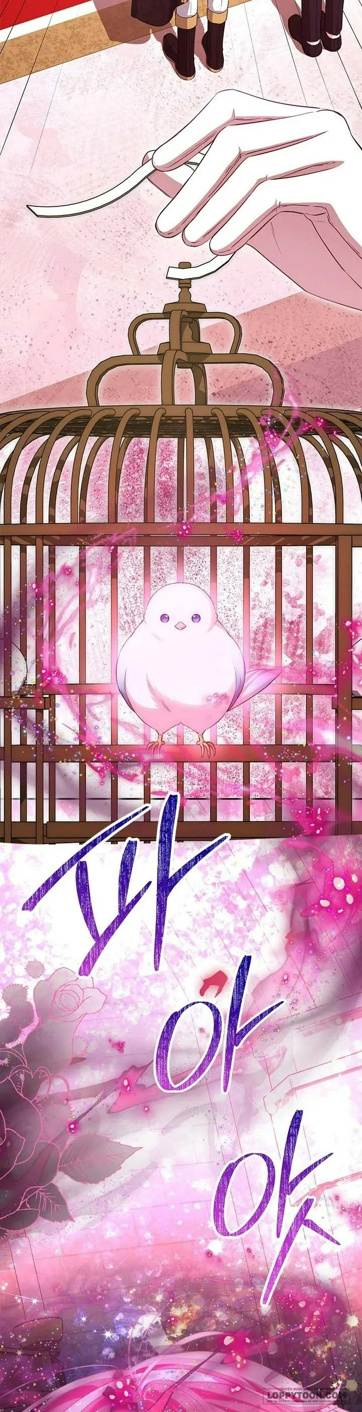 Đã Từ Chối Sủng Ái Rồi Mà Sao Còn Ám Ảnh Thế? Chap 62 - trang 11