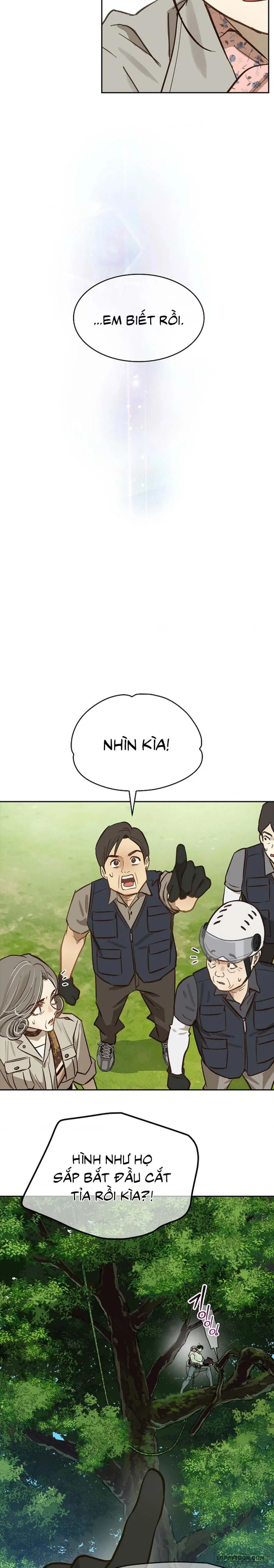 Đóa Hoa Là Mồi Nhử Chap 22 - trang 15