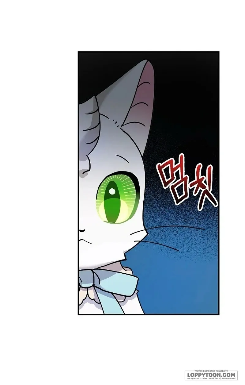 Trở Thành Miêu Nữ Của Hoàng Đế Chap 39 - trang 50