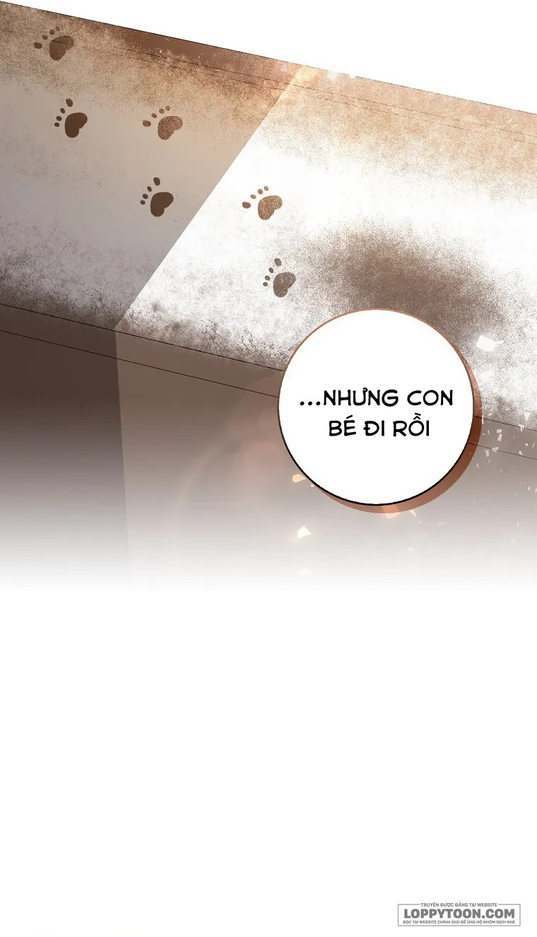 Sóc Con Tài Năng Chap 22 - trang 63