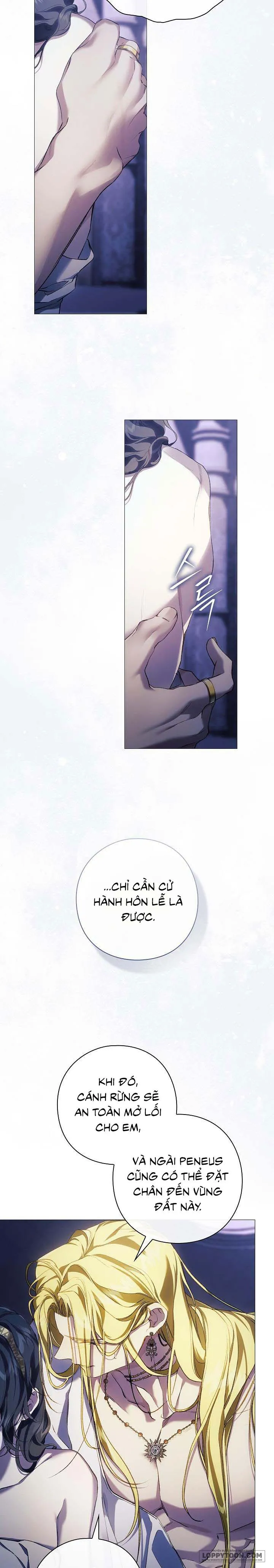 Dành Cho Các Nữ Thần: Dành Cho Daphne Chap 26 - trang 17