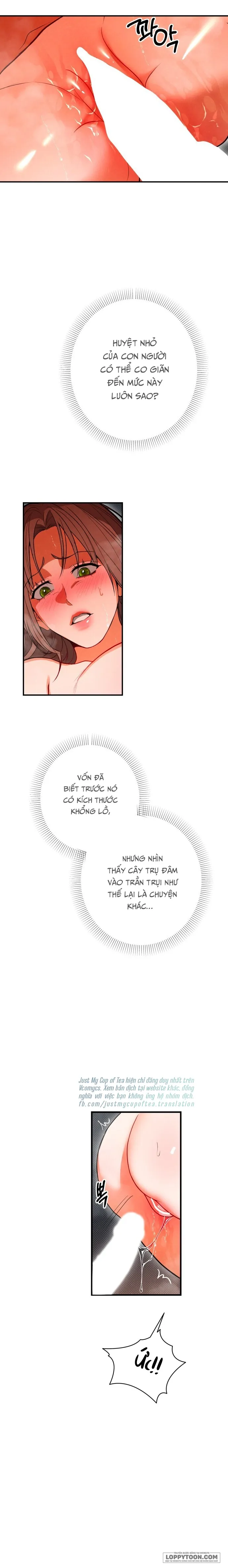 Ngưỡng Tuyệt Đối Chap 79 - trang 19