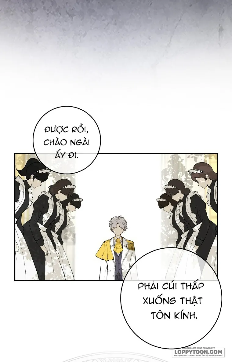 Sóc Con Tài Năng Chap 1 - trang 36