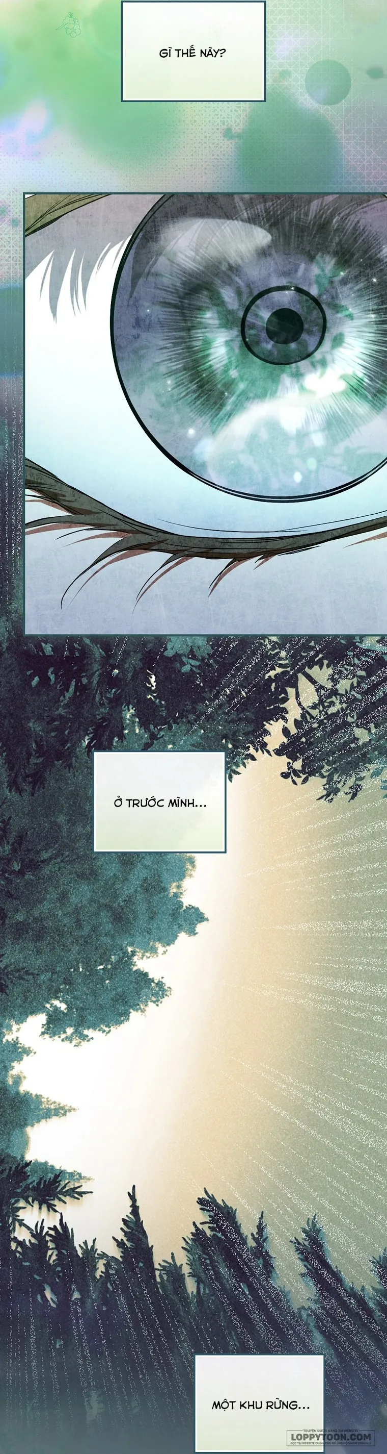 Tìm Một Người Chồng Mới Chap 8 - trang 5