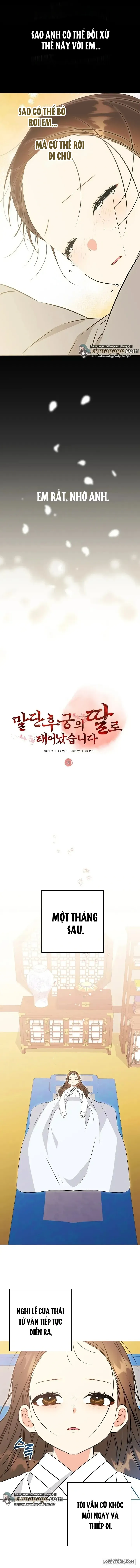 Tôi Sinh Ra Là Con Gái Của Một Cung Phi Hèn Mọn Chap 30 - trang 5