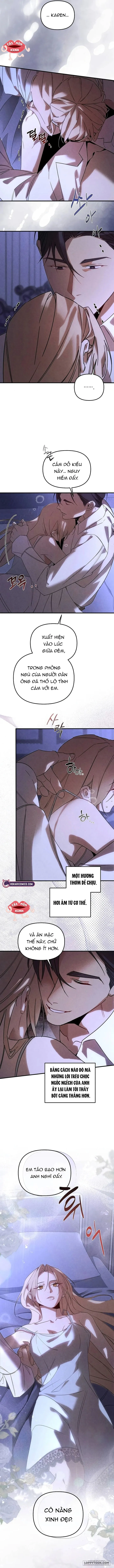 Nơi Đóa Hồng Vàng Úa Tàn Chap 26 - trang 12