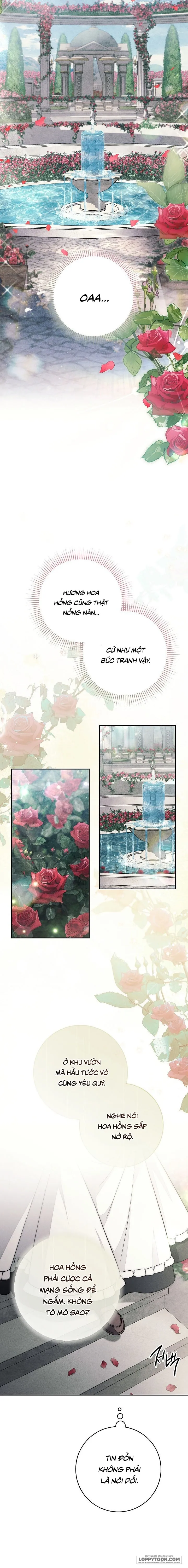 Mộ Thiên Nga Chap 16 - trang 9