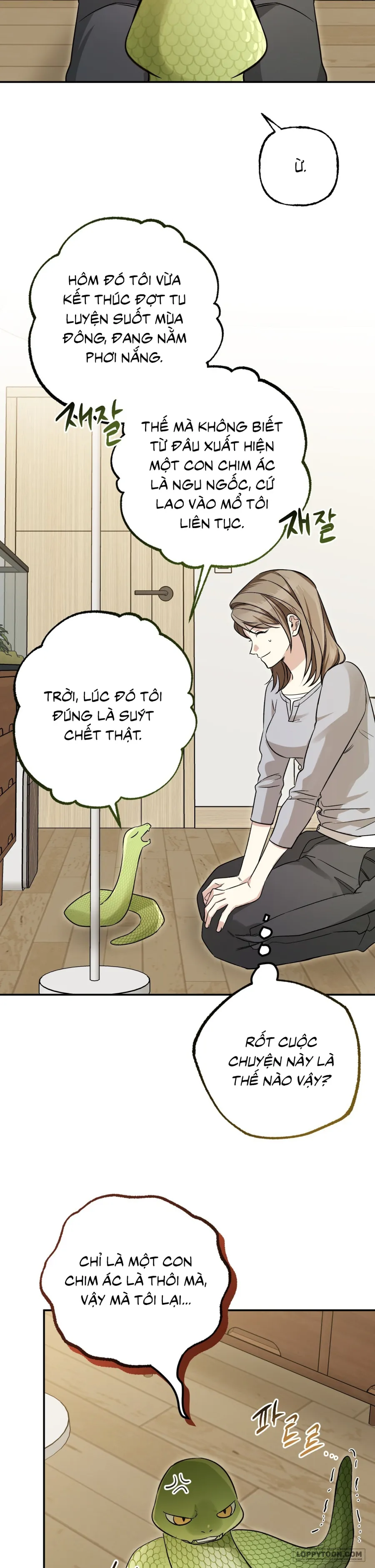 Nhặt Được Một Con Mãng Xà Tu Luyện Trên Núi Chap 1 - trang 29