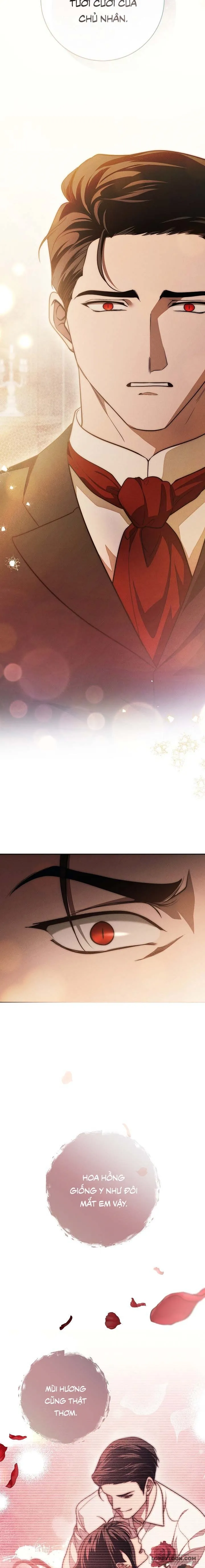 Mộ Thiên Nga Chap 24 - trang 19