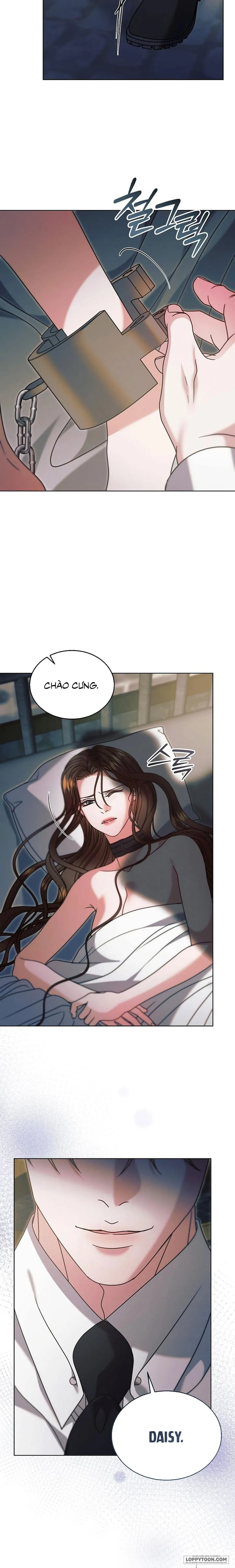 Hãy Cầu Xin Tôi Đi Chap 73 - trang 12