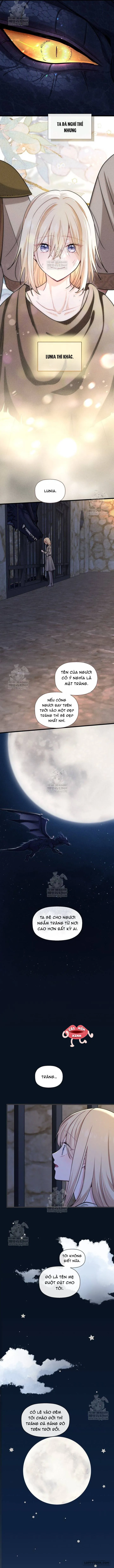 Bệ Hạ, Xin Hãy Quên Tôi Đi Chap 54 - trang 5