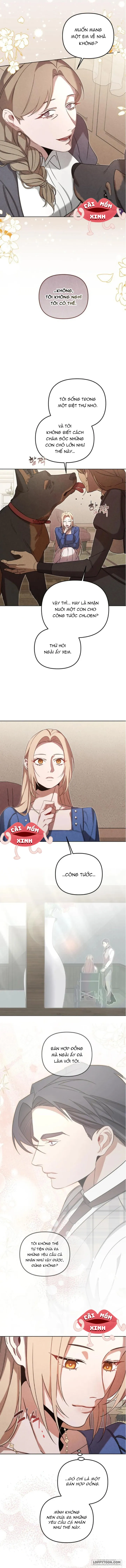 Nơi Đóa Hồng Vàng Úa Tàn Chap 14 - trang 9