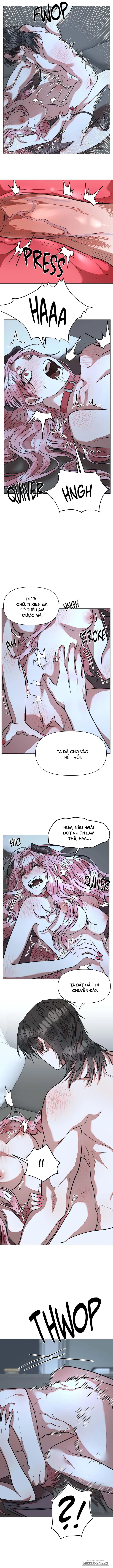 Dịch Vụ Đặc Biệt Chap 5 - trang 5