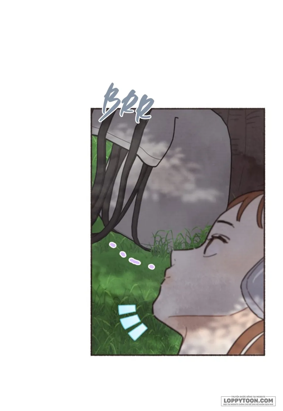 Cảm Xúc Chuyển Giao Chap 1 - trang 24