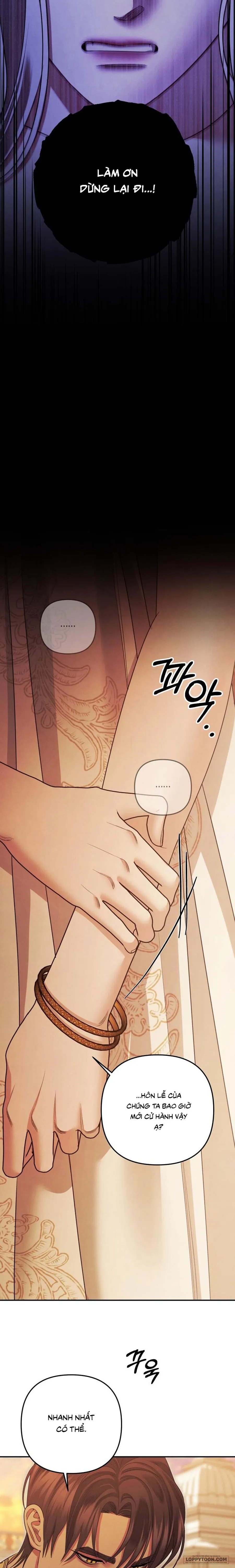 Cuộc Hôn Nhân Bị Cướp Đoạt Chap 67 - trang 29