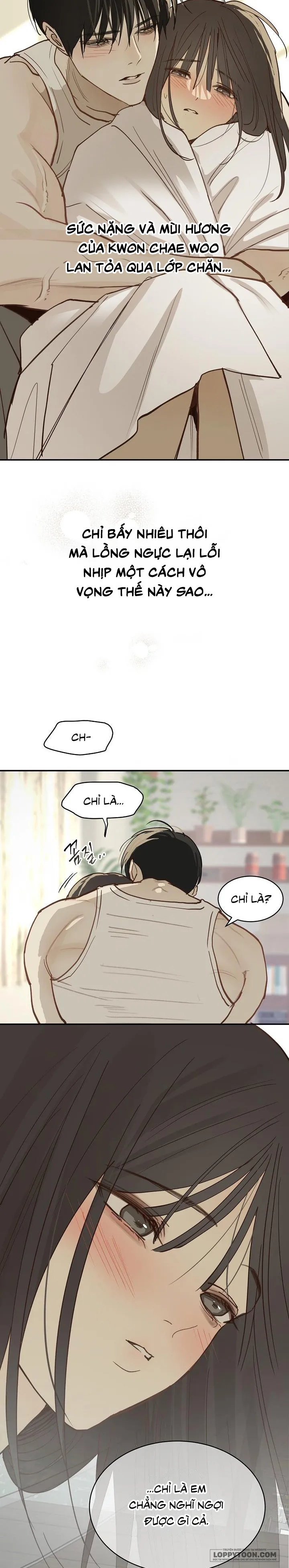 Đóa Hoa Là Mồi Nhử Chap 52 - trang 14