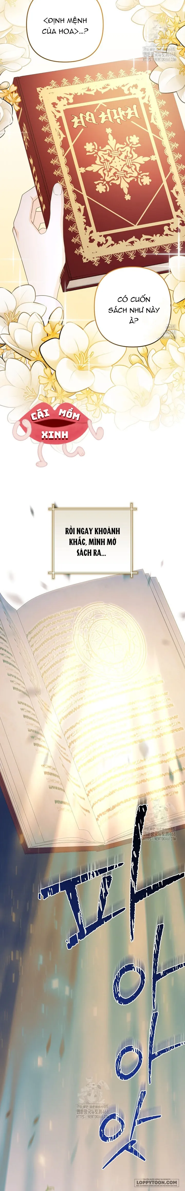 Đừng Cố Chấp Nữa, Chúng Ta Ly Hôn Đi! Chap 1 - trang 12