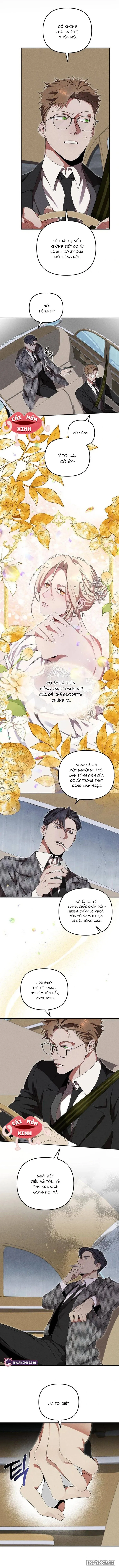 Nơi Đóa Hồng Vàng Úa Tàn Chap 4 - trang 8