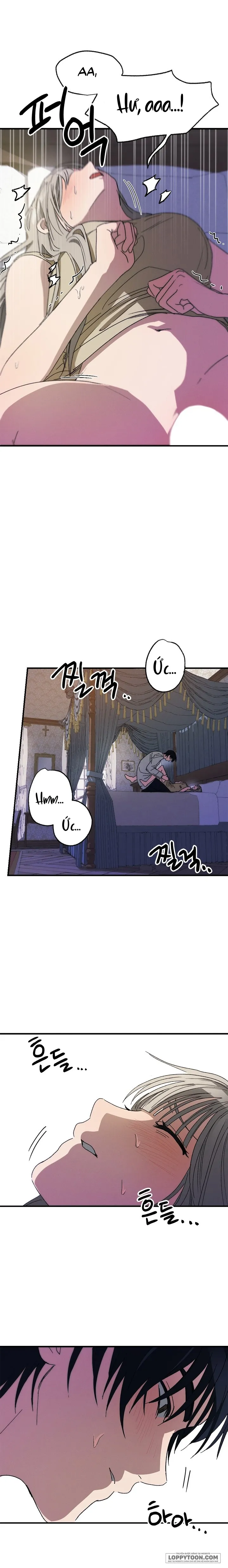 Lời Tuyên Thệ Của Loài Sói Chap 4 - H+ - trang 12