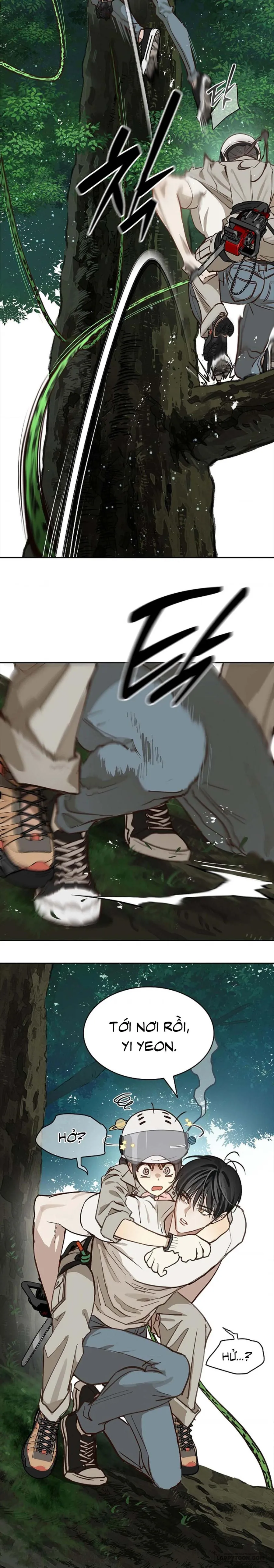Đóa Hoa Là Mồi Nhử Chap 22 - trang 13