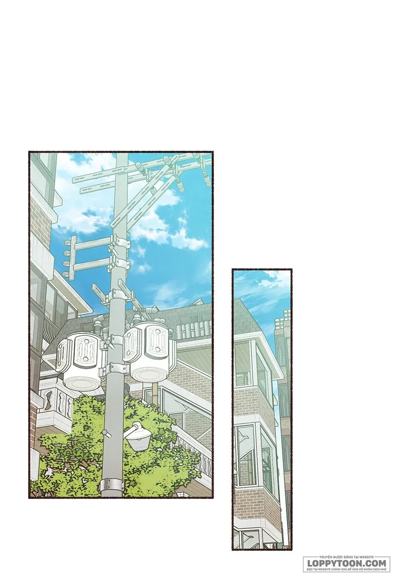 Cảm Xúc Chuyển Giao Chap 24 - trang 15