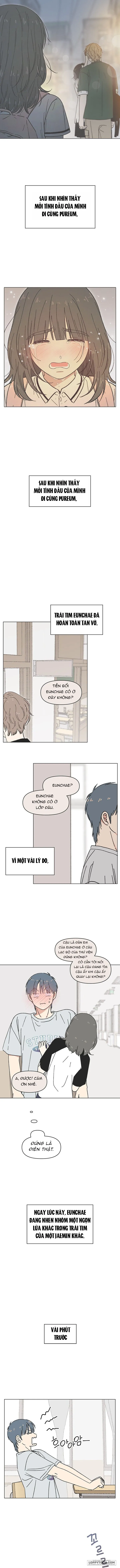 Thanh Xuân Ngọt Ngào Chap 48 - trang 5