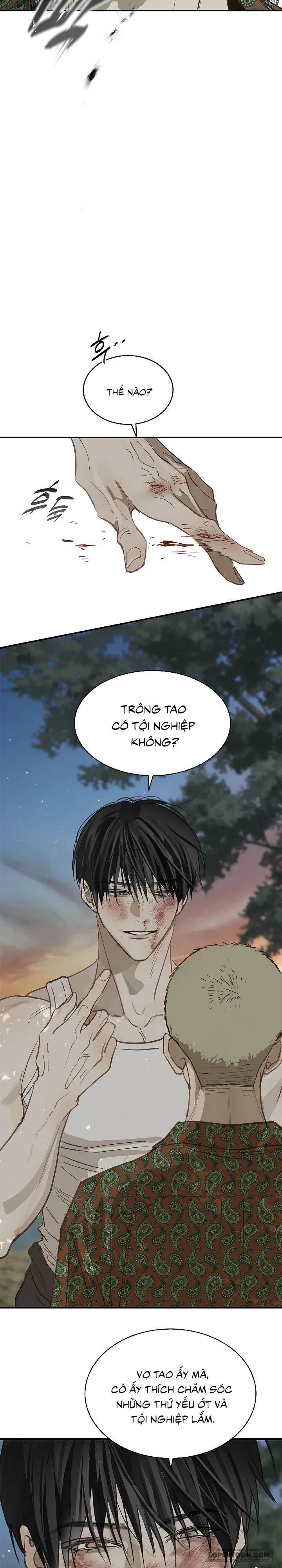 Đóa Hoa Là Mồi Nhử Chap 40 - trang 23