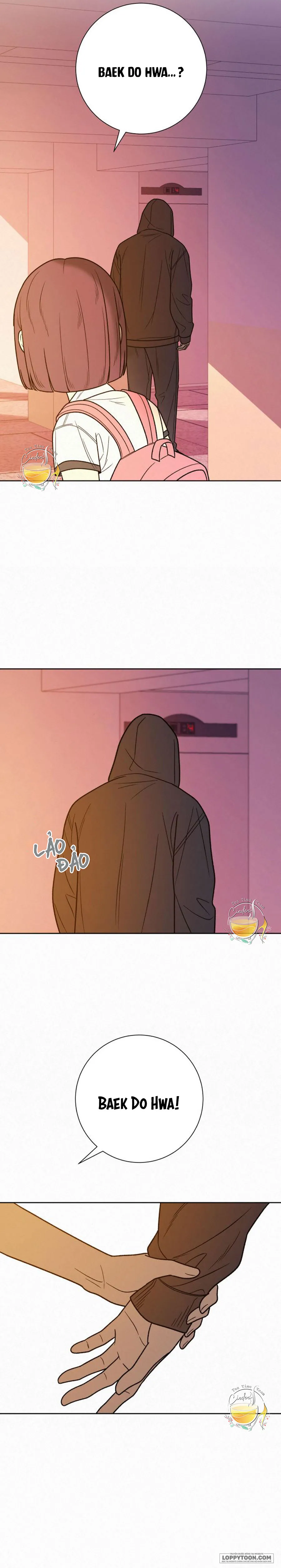 Chiến Lược Tình Yêu Trong Sáng Chap 53 - trang 37