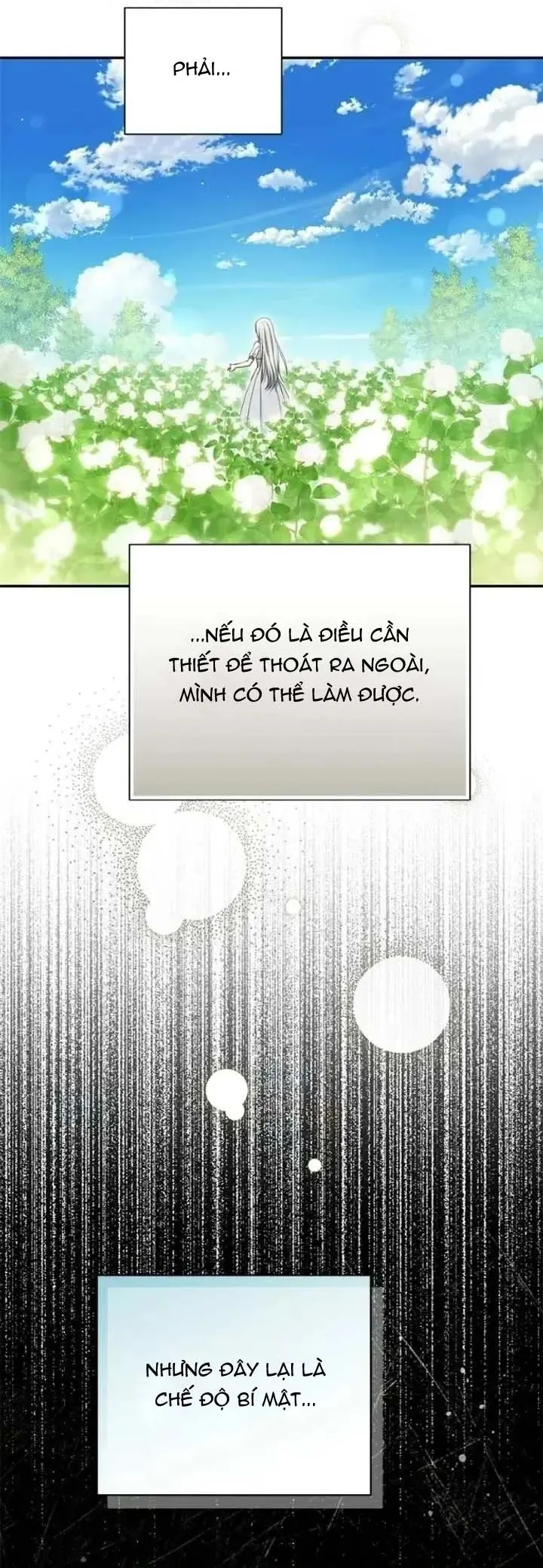 Presepe Bên Ngoài Chiếc Lồng Chap 52 - trang 37