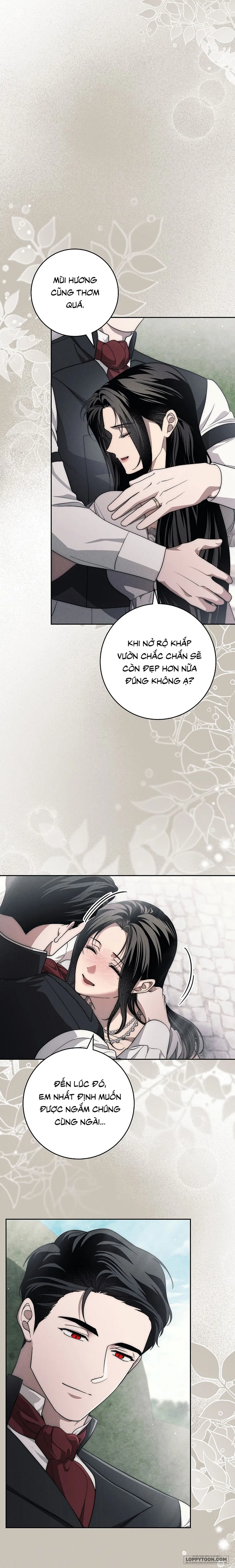Mộ Thiên Nga Chap 44 - trang 25