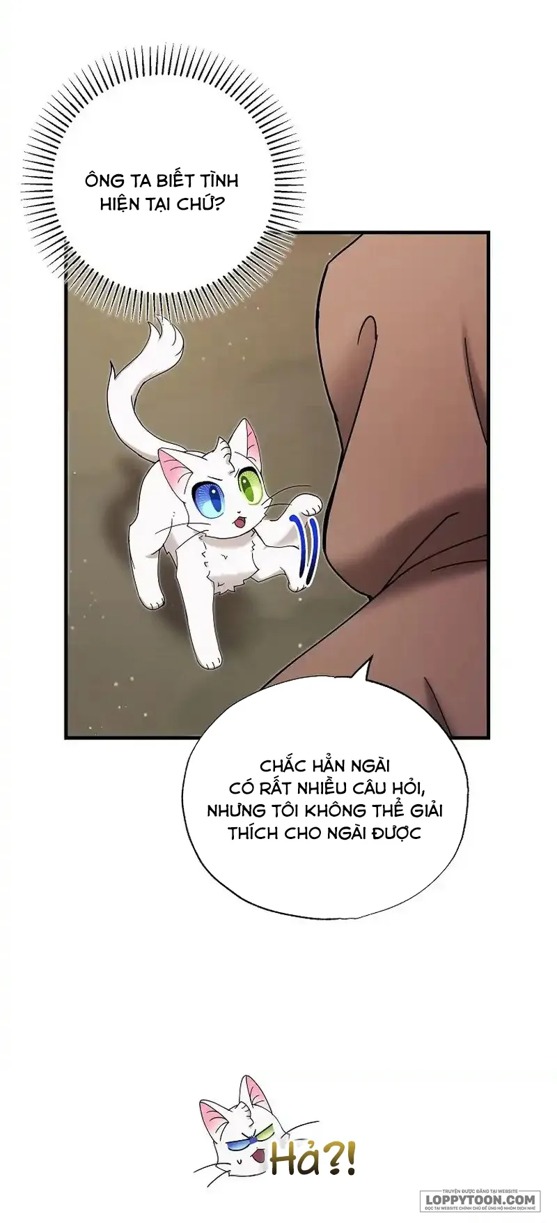 Trở Thành Miêu Nữ Của Hoàng Đế Chap 25 - trang 5