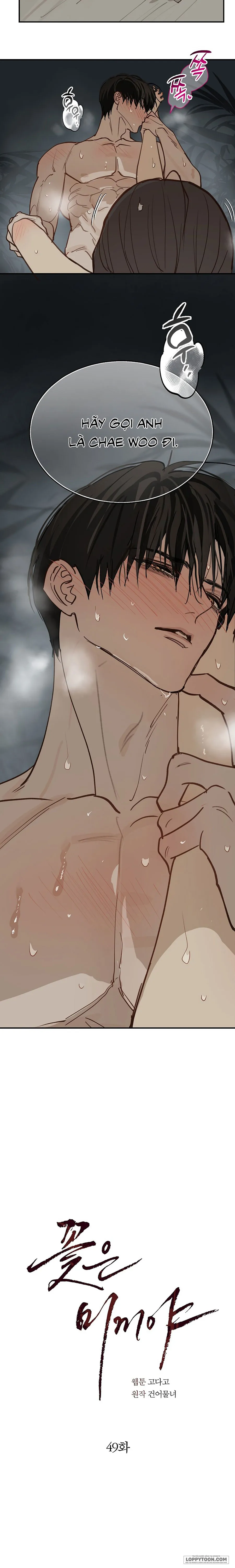 Đóa Hoa Là Mồi Nhử Chap 49 - 🔞🔞🔞🔞🔞 - trang 22