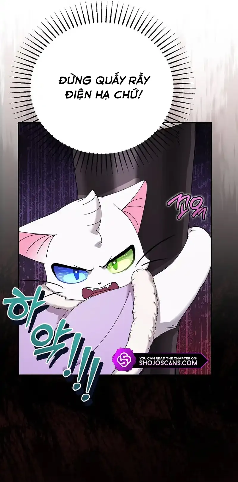 Trở Thành Miêu Nữ Của Hoàng Đế Chap 14 - trang 19