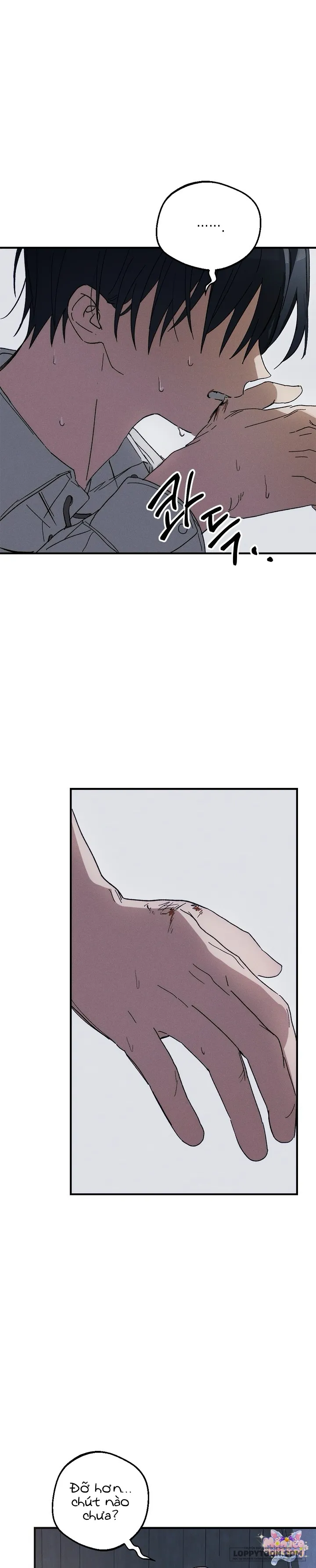 Lời Tuyên Thệ Của Loài Sói Chap 1 - trang 19