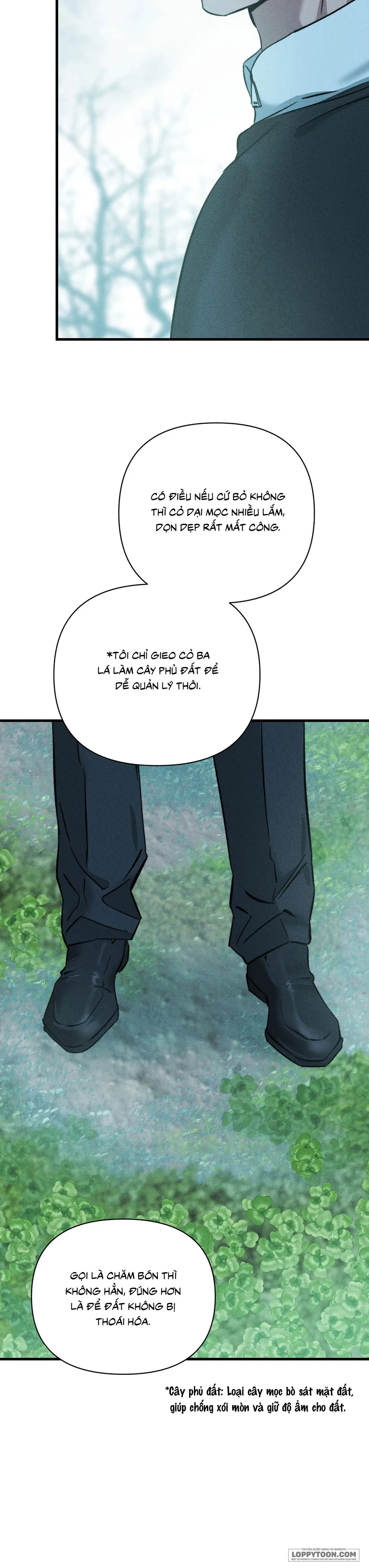 Những Ngày Cỏ Ba Lá Chap 2 - trang 3