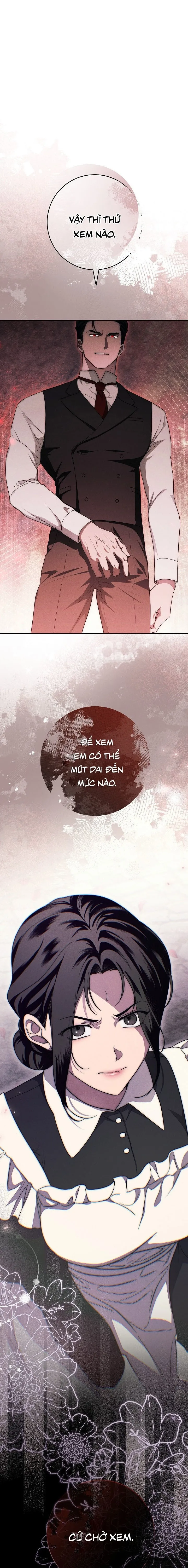 Mộ Thiên Nga Chap 17 - 🔞🔞🔞 - trang 1