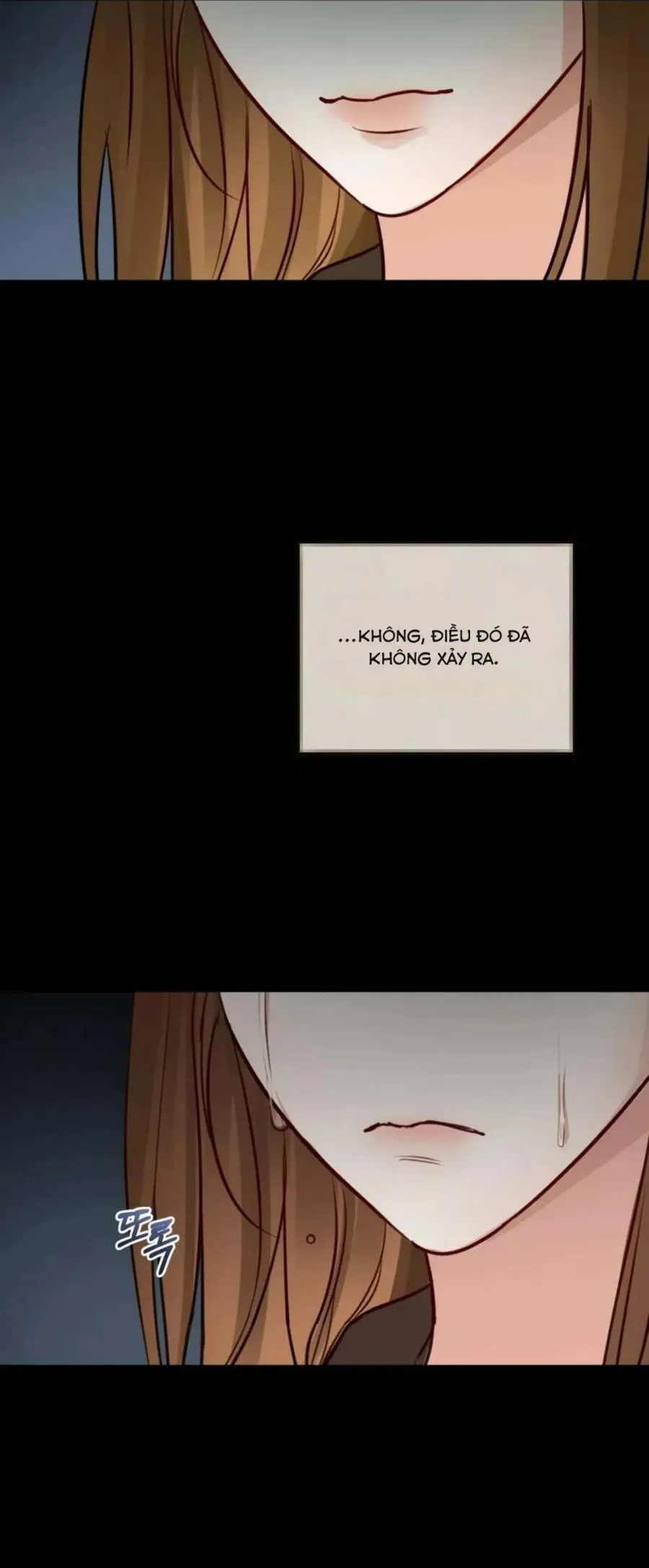 Cuộc Hôn Nhân Xa Hoa Của Đại Công Tước Là Giả Chap 73 - trang 5