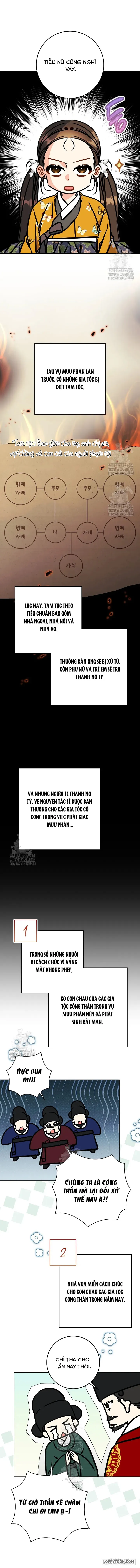 Tôi Sinh Ra Là Con Gái Của Một Cung Phi Hèn Mọn Chap 58 - trang 11