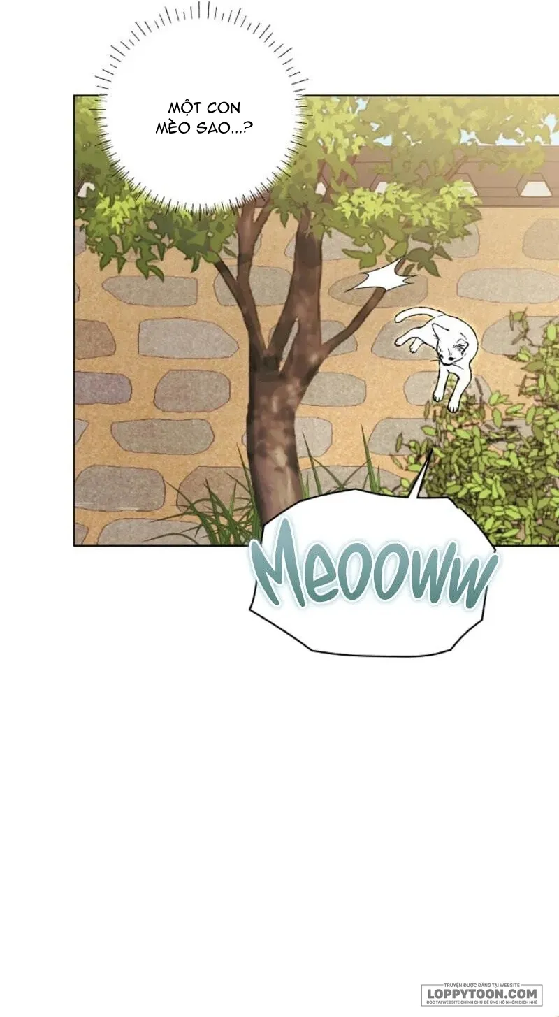 Tôi Sinh Ra Là Con Gái Của Một Cung Phi Hèn Mọn Chap 81 - trang 8