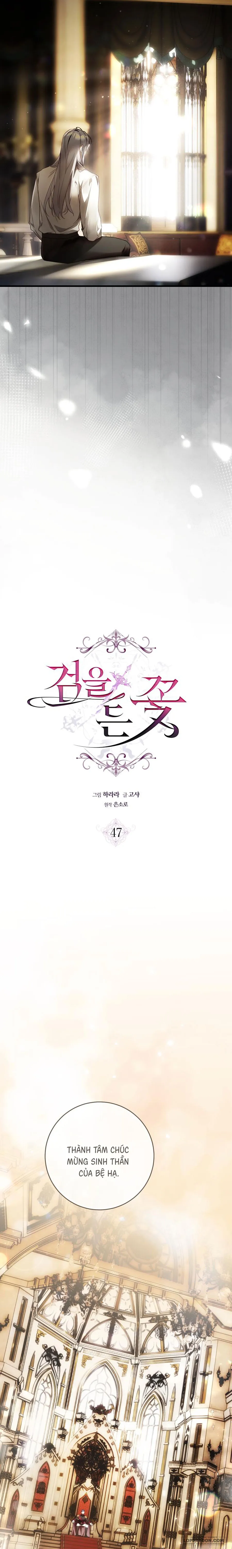 Đóa Hoa Cầm Kiếm Chap 47 - trang 8