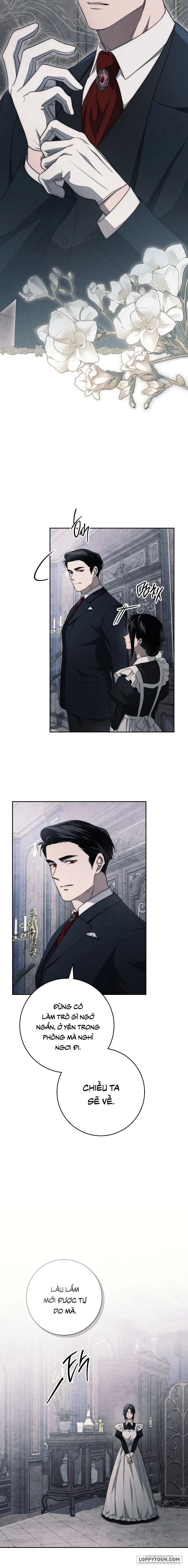 Mộ Thiên Nga Chap 21 - trang 21