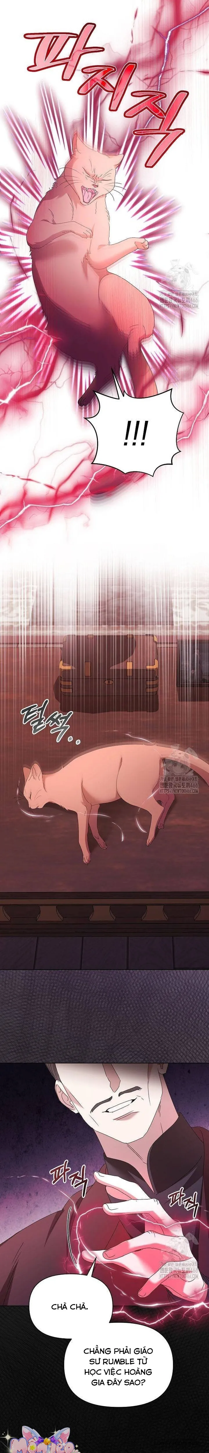 Trở Thành Con Gái Nuôi Của Gia Tộc Sát Thủ Chap 59 - trang 5