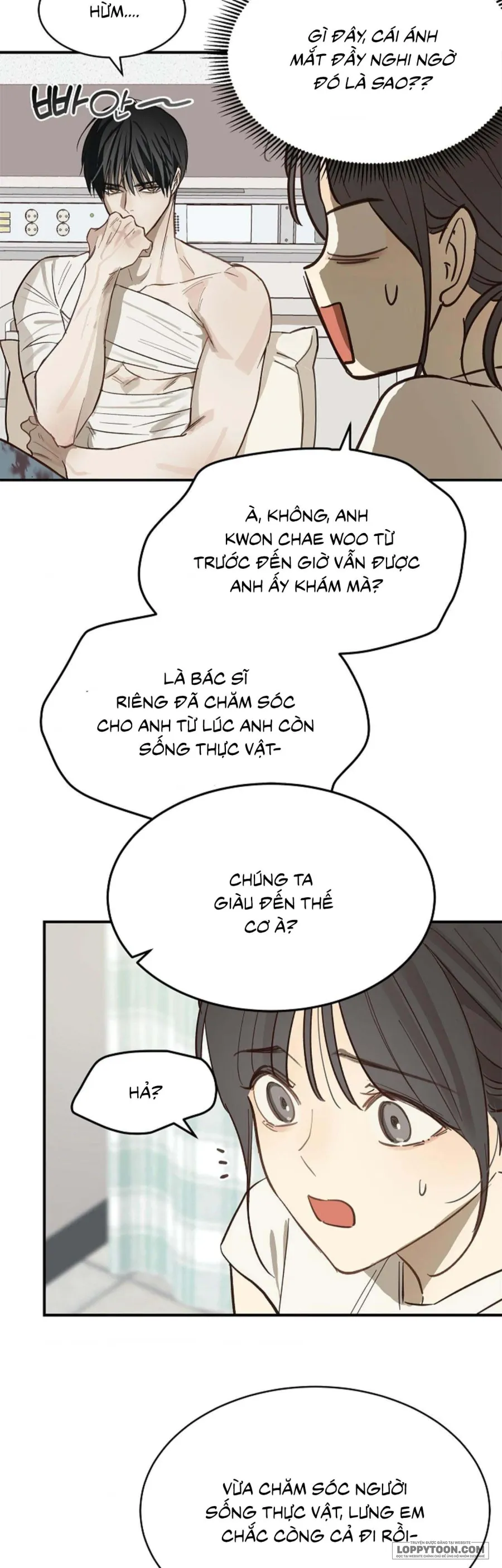 Đóa Hoa Là Mồi Nhử Chap 27 - trang 46