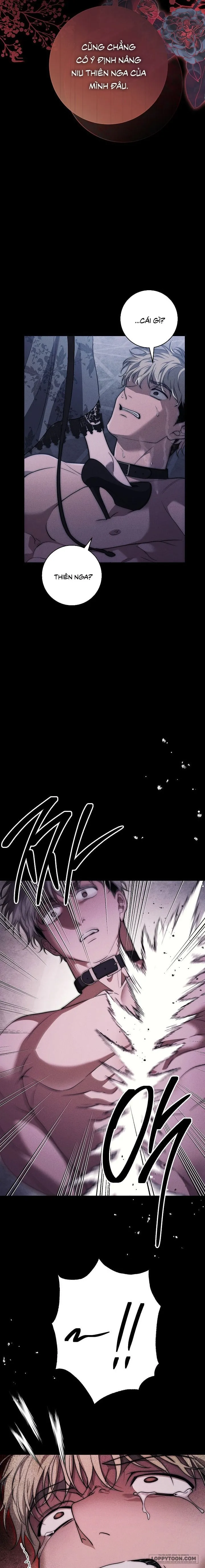 Mộ Thiên Nga Chap 36 - trang 12