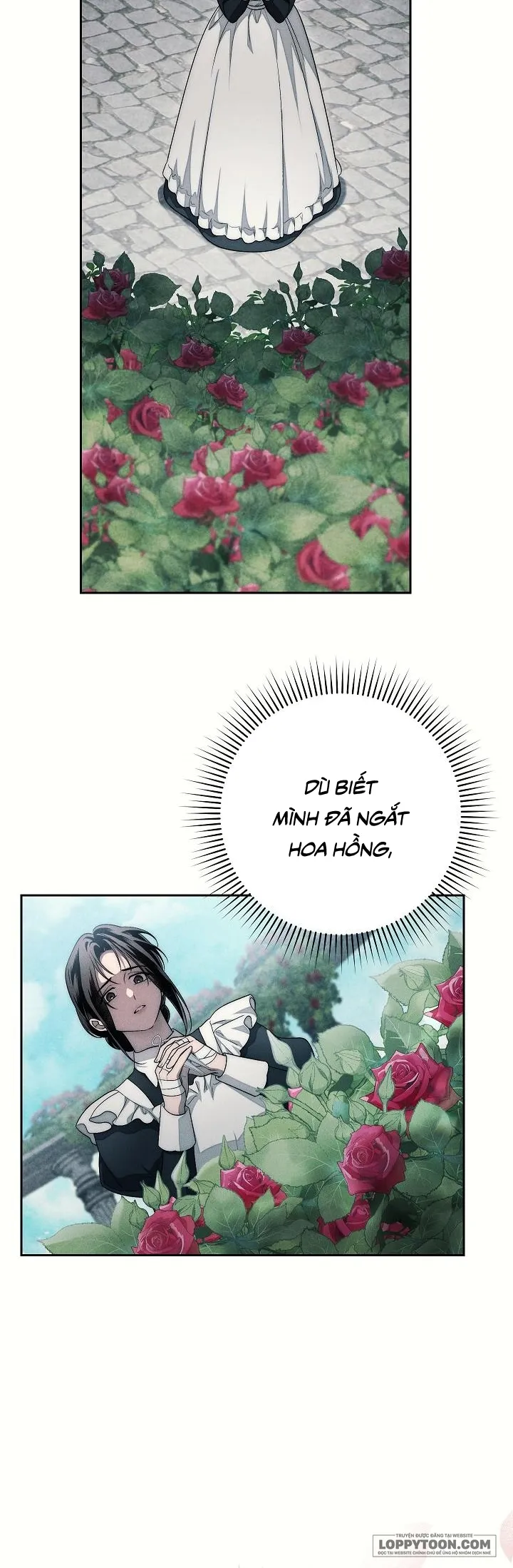 Mộ Thiên Nga Chap 22 - trang 24
