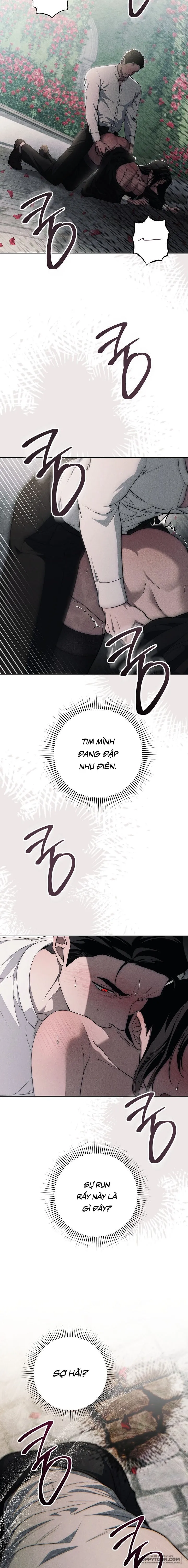 Mộ Thiên Nga Chap 17 - 🔞🔞🔞 - trang 22